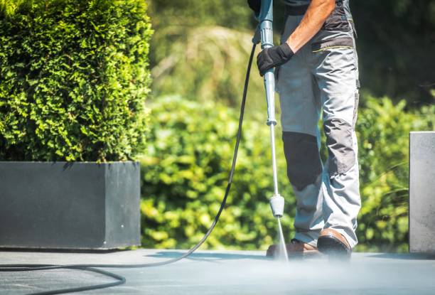 Best Solar Panel Cleaning  in Home Gardens, CA