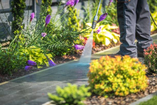 Best Building Exterior Washing  in Home Gardens, CA