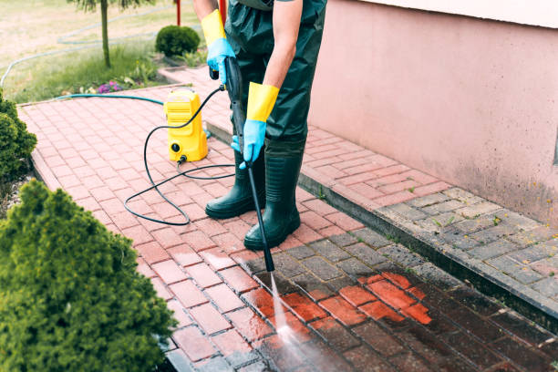 Paint Preparation in Home Gardens, CA
